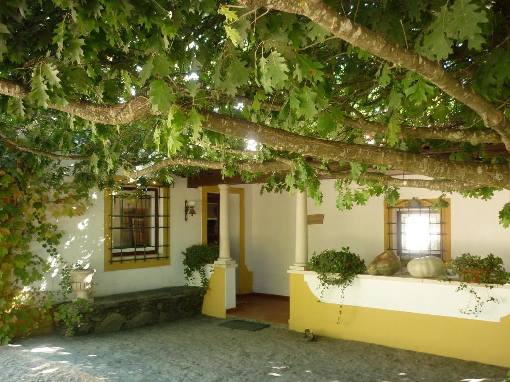 הוילה קסטלו דו בודה Quinta Do Troviscal מראה חיצוני תמונה